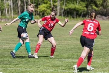 Bild 348 - F SG NieBar - IF Stjernen Flensborg : Ergebnis: 2:0